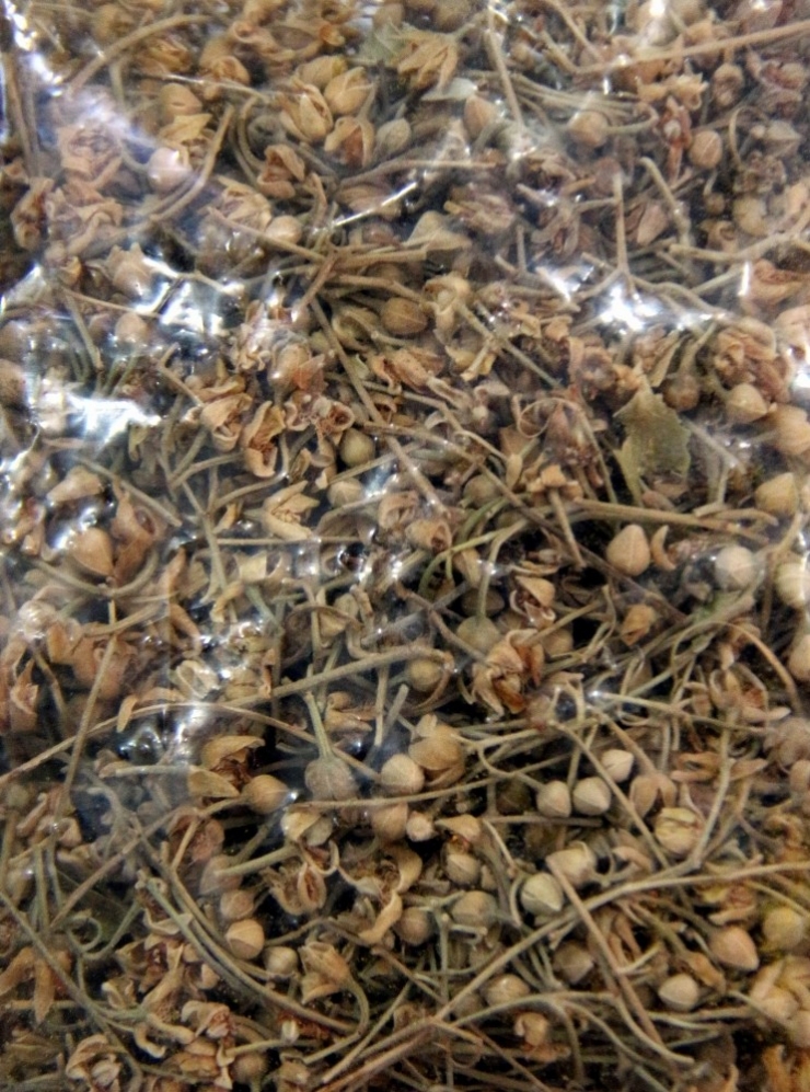 Çiçek Ihlamurun Kilosu 200 Tl