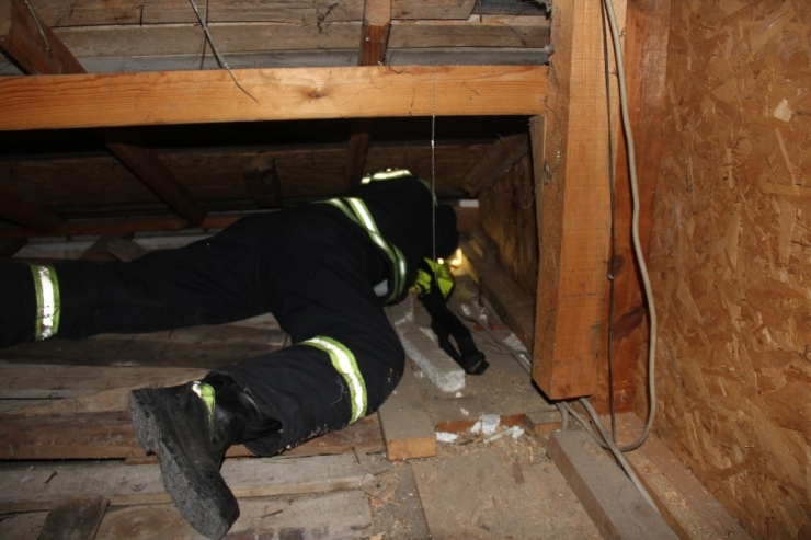 Çatıda Sıkışan Yavru Kediyi İtfaiye Kurtardı