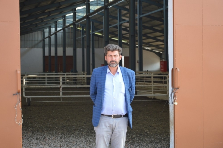 Ukrayna’dan Getirdiği Koyunlar Yılda 8 Yavru Veriyor