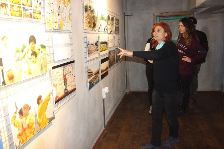 Çin’in 5 Bin Yıllık Geleneği, Sergiyle Tanıtıldı