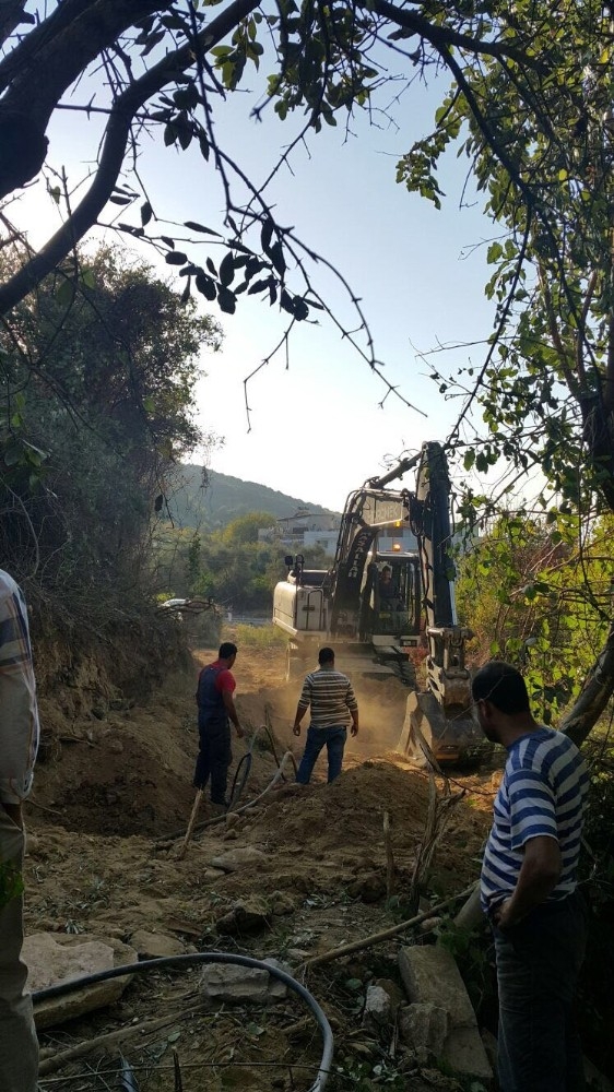 Yaya Yolu Yapılacak Diye 50’ye Yakın Ağaç Kesildi İddiası