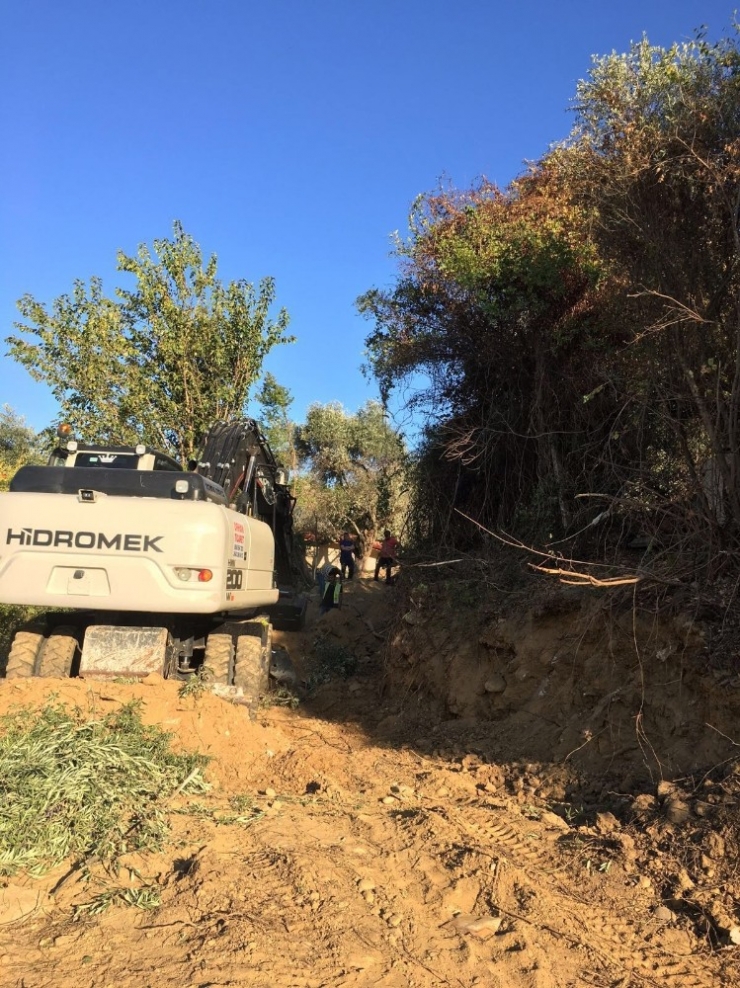 Yaya Yolu Yapılacak Diye 50’ye Yakın Ağaç Kesildi İddiası