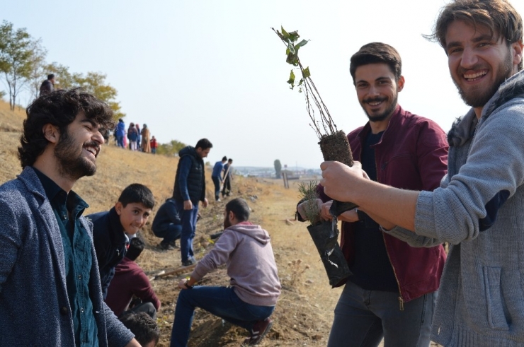Ağrı’da Yüzlerce Fidan Toprağa Ekildi