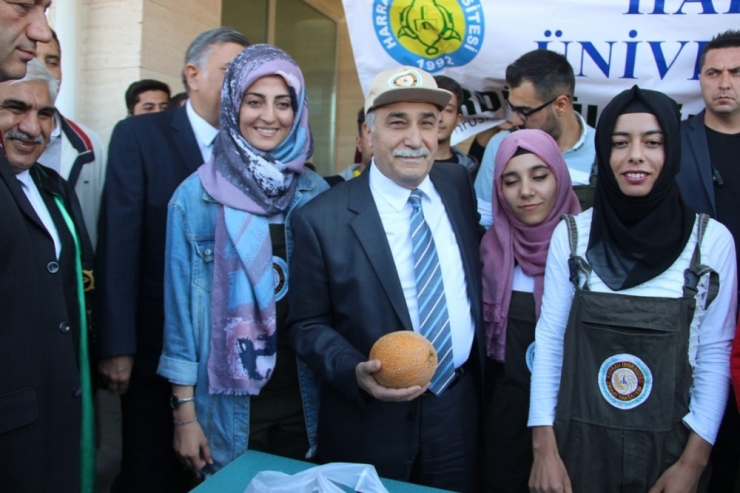 Gıda Tarım Ve Hayvancılık Bakanı Ahmet Eşref Fakıbaba: “Sahada Hiç Ziraat Mühendisi Ve Veteriner Yok”