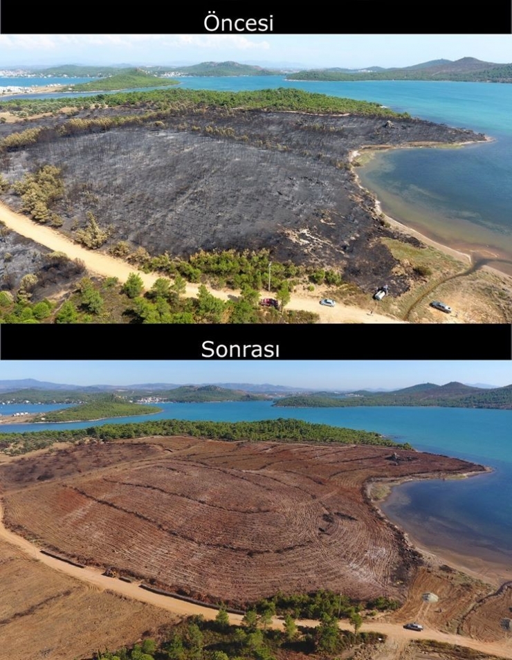 Ayvalık Yangınının İzleri Siliniyor