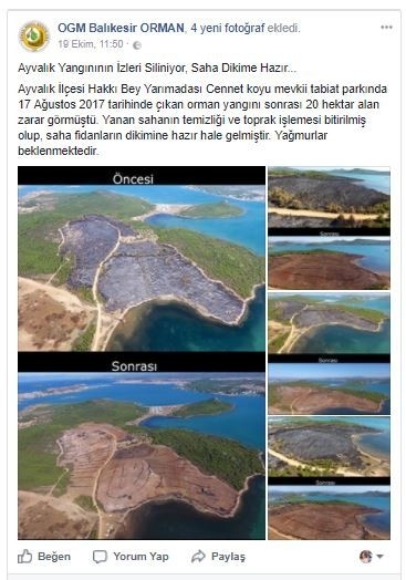 Ayvalık Yangınının İzleri Siliniyor