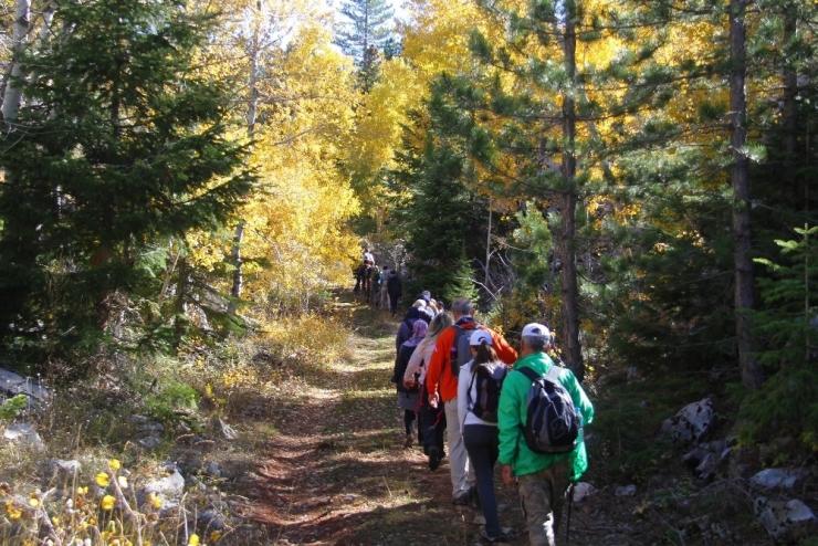 Beyşehir Belediyesinden Doğa Yürüyüşü Etkinliği