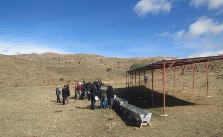 Çoruh Nehri Projesi Bayburt’u Kalkındırmaya Devam Ediyor