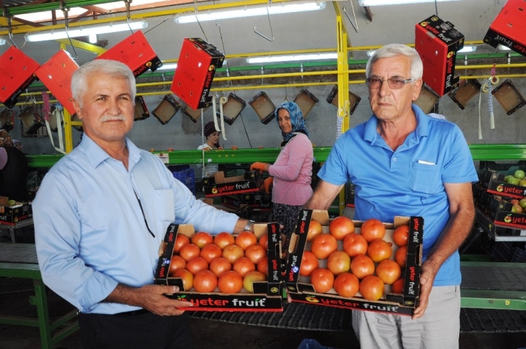 Domatese Rusya Dopingi