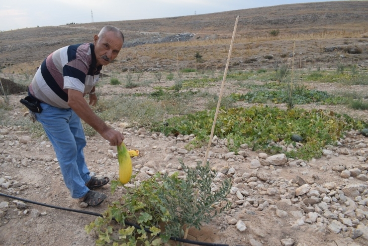 80 Yaşından Sonra Huzuru Alaşehir’de Buldu