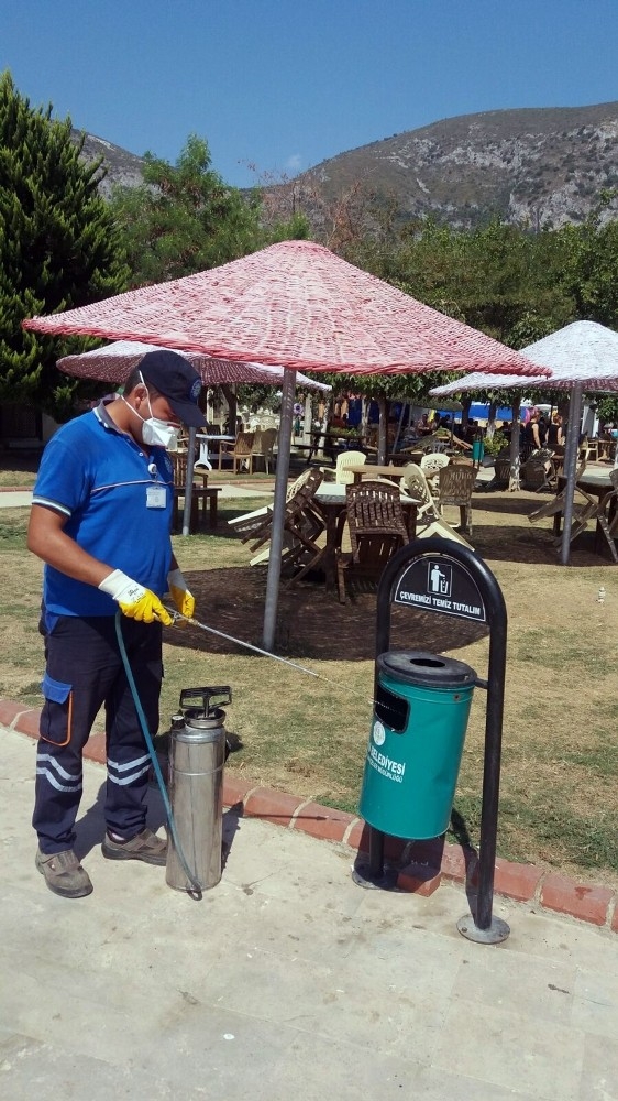 Haşere İle Mücadele Milas’ta Devam Ediyor