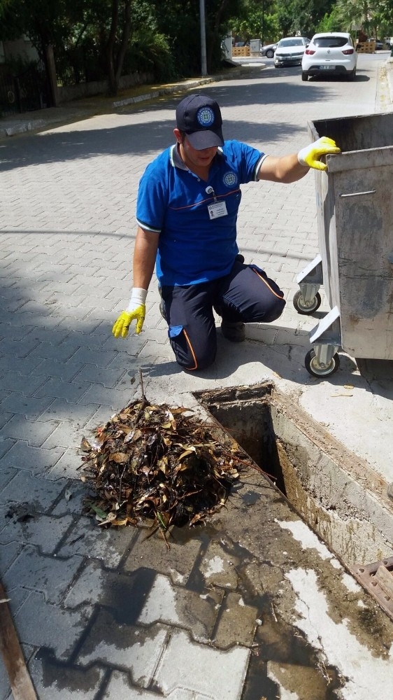 Haşere İle Mücadele Milas’ta Devam Ediyor