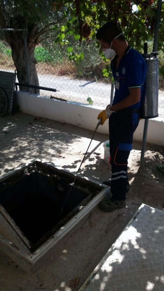 Haşere İle Mücadele Milas’ta Devam Ediyor