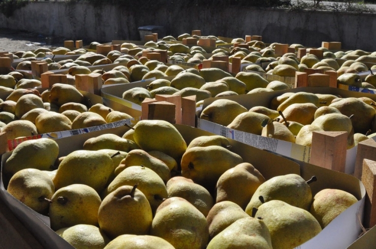 Soğuk Hava Depoları Doldu