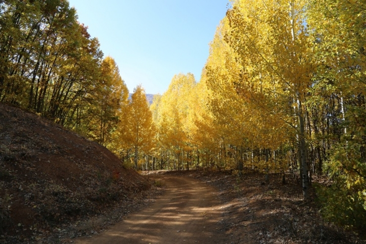 Pülümür’de Doğa Gezisi