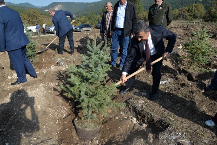 Muhtarlar Hatıra Ormanı’na 3 Yüz Adet Fidan Dikildi