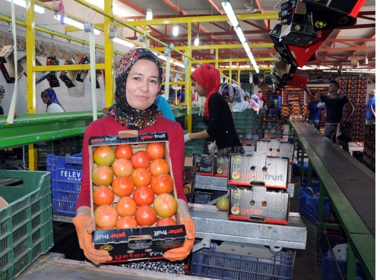 Domatese Rusya Dopingi