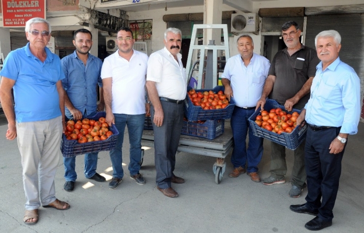 Domatese Rusya Dopingi