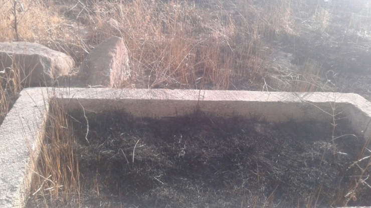 Ağrı’da Mezarlık Yandı