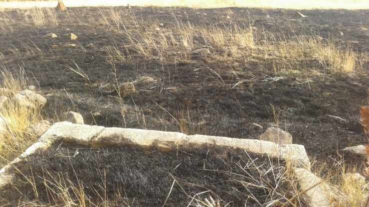 Ağrı’da Mezarlık Yandı