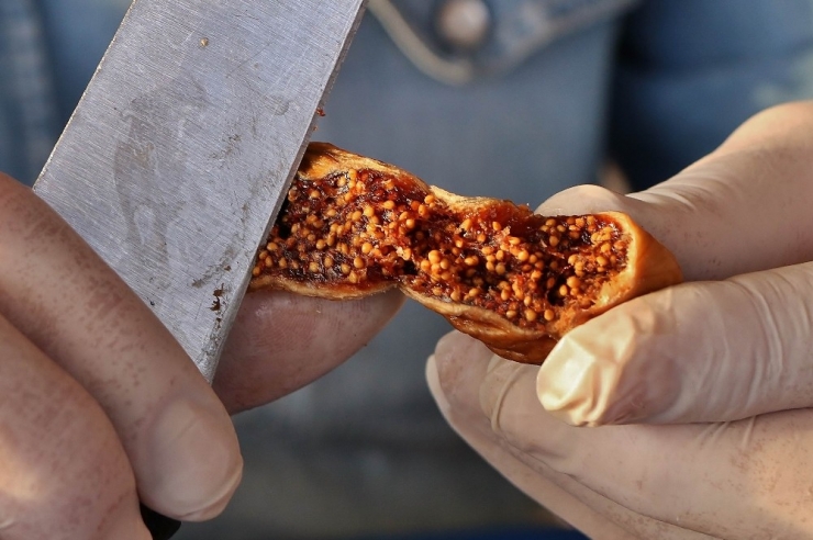 Organik İncir Pekmezi Yapımının Püf Noktaları