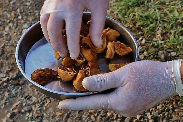 Organik İncir Pekmezi Yapımının Püf Noktaları