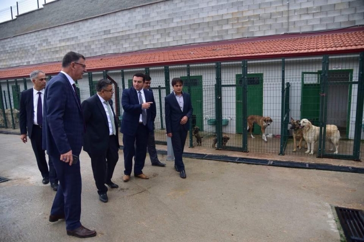 Belediye Başkanlarından Sokak Hayvanları Tedavi Ve Rehabilitasyon Merkezi’ne Ziyaret