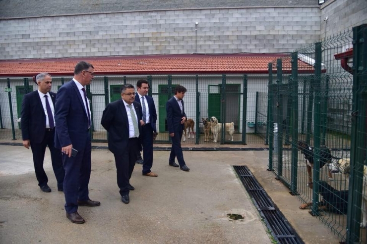 Belediye Başkanlarından Sokak Hayvanları Tedavi Ve Rehabilitasyon Merkezi’ne Ziyaret