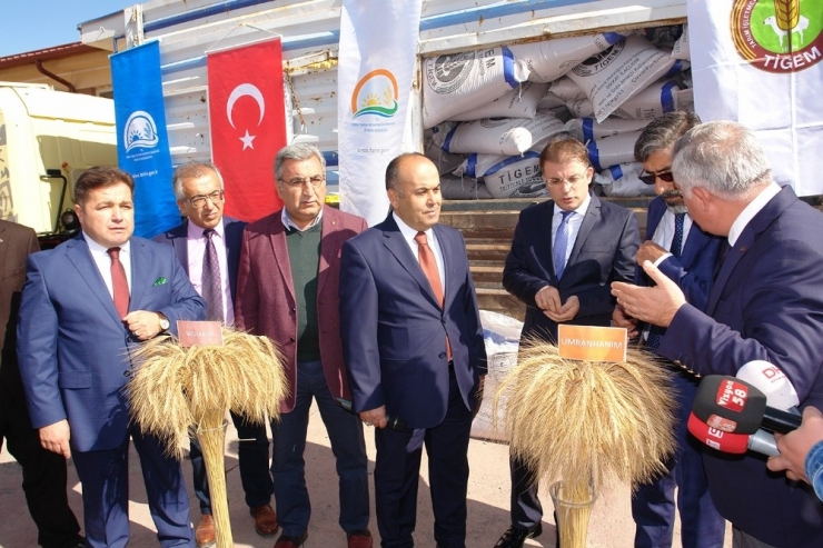 Dap İdaresi’nin Desteğiyle 300 Ton Yem Bitkisi Tohumu Dağıtıldı