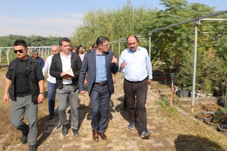 Kayapınar’da 500 Bin Fidan Ve 2 Milyon Mevsimlik Çiçek Üretecek