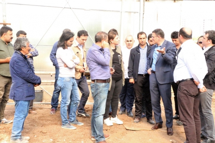 Kayapınar’da 500 Bin Fidan Ve 2 Milyon Mevsimlik Çiçek Üretecek