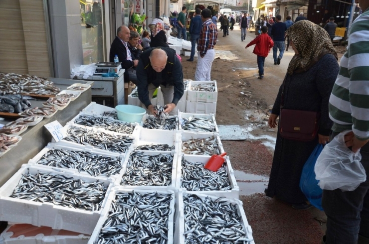 Hamsinin Fiyatı Düşüşe Geçti