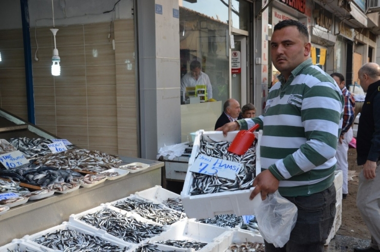 Hamsinin Fiyatı Düşüşe Geçti