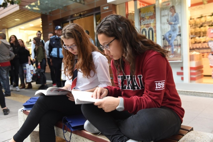 Ağaçlara Şiirler Ve Kitaplar Asıldı