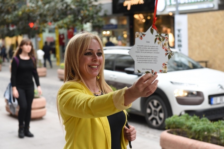 Ağaçlara Şiirler Ve Kitaplar Asıldı