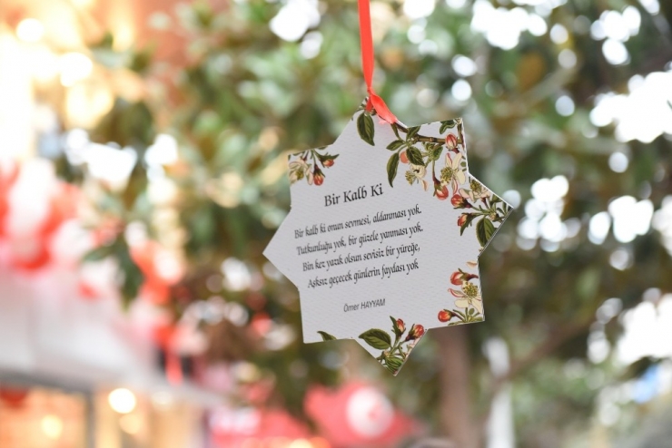 Ağaçlara Şiirler Ve Kitaplar Asıldı