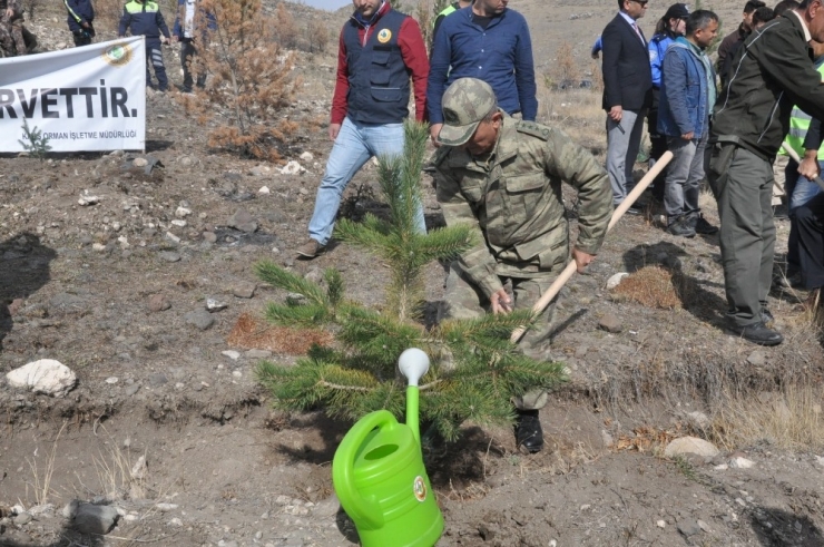 Kars Emniyeti 500 Fidanı Toprakla Buluşturdu
