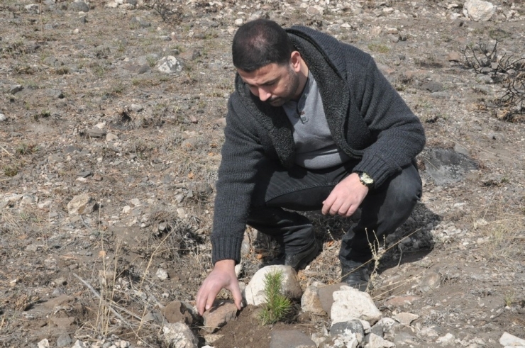 Kars Emniyeti 500 Fidanı Toprakla Buluşturdu