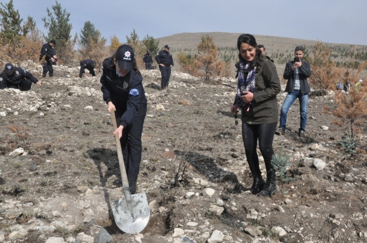 Kars Emniyeti 500 Fidanı Toprakla Buluşturdu