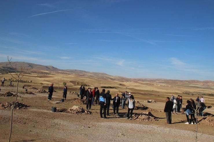 Pınarbaşı’nda Her Öğrencinin Dikili Bir Ağacı Olacak