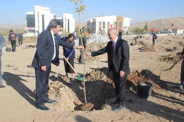 Pınarbaşı’nda Her Öğrencinin Dikili Bir Ağacı Olacak