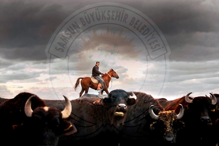 Kuş Cenneti’nden Objektiflere Yansıyanlar