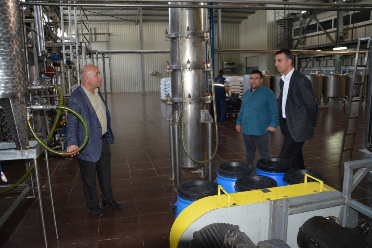 Senegal’den Söke’ye Gelen Mango Çekirdeklerinden Krem Üretildi