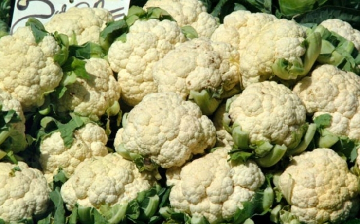 Karnabahar Sağlık Deposu