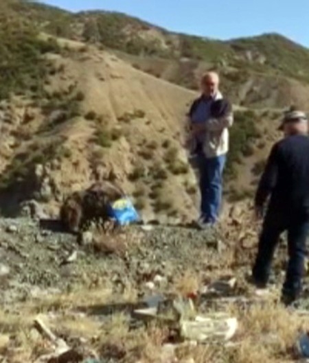 Ayının Kafası Kutuya Sıkıştı, İşçiler Kurtardı