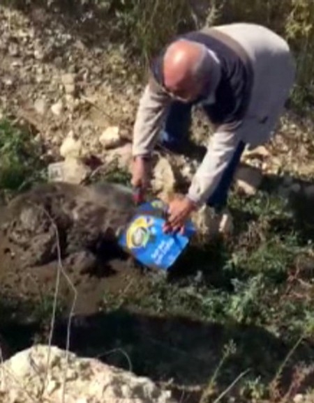 Ayının Kafası Kutuya Sıkıştı, İşçiler Kurtardı