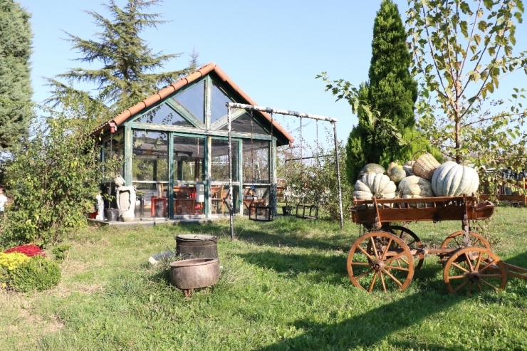 23 Yıllık Biyoloji Öğretmeni, Hayalini Kurduğu Çiftlikte Kendi Markasını Üretti