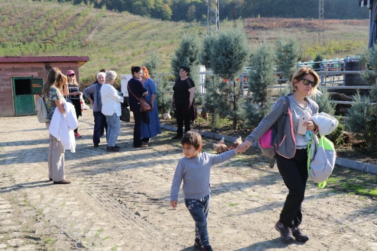 23 Yıllık Biyoloji Öğretmeni, Hayalini Kurduğu Çiftlikte Kendi Markasını Üretti