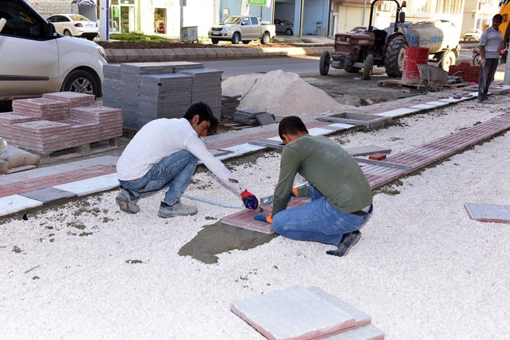 Başkan Atilla, Çalışmaları Denetlendi