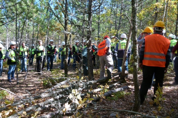 Keles Ormanlarında Silvikültür Tatbikatı